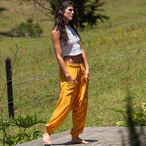 Aladino – Amarillo Solar