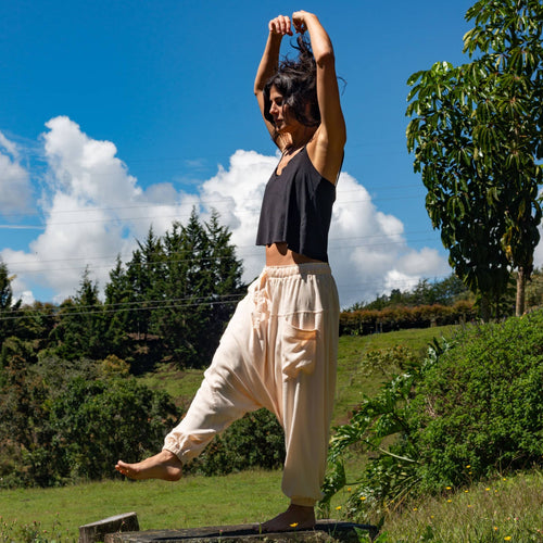Aladino – Arena Clara