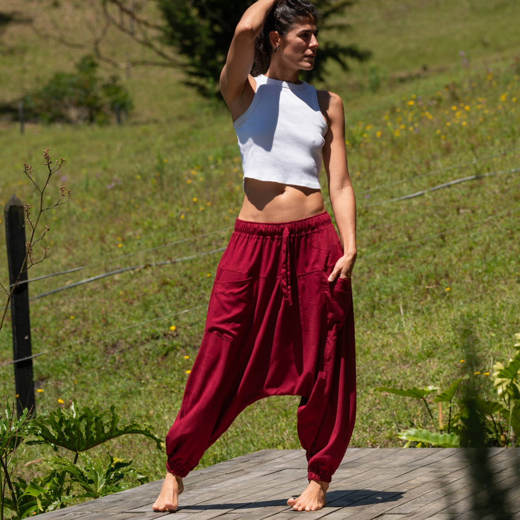 Aladino – Vino Tinto