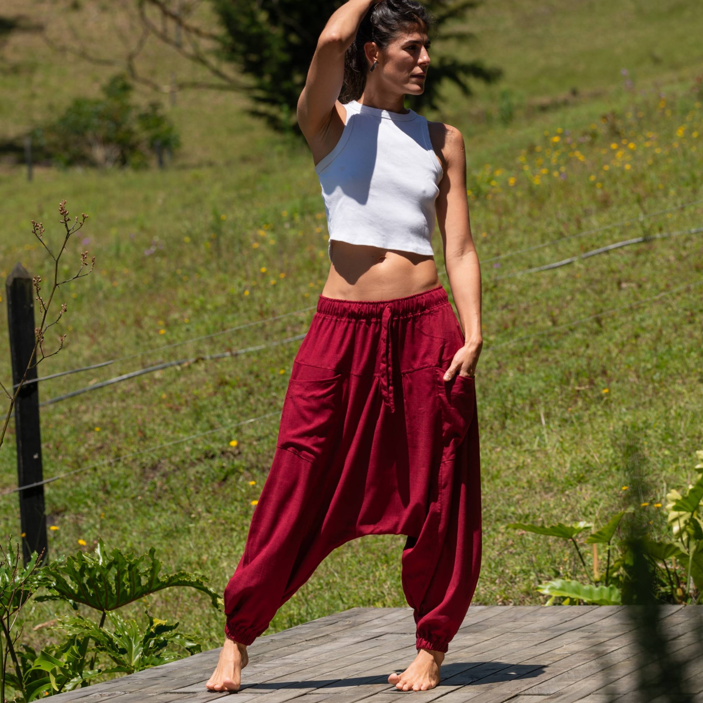 Aladino – Vino Tinto