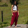 Aladino – Vino Tinto
