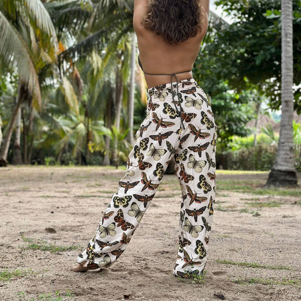 Pacific Pant Metamorfosis